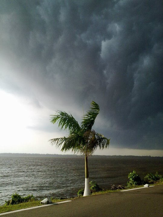 Just Before the Rain 2 | Yağmur Öncesi 2